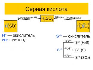 Серная кислота H2SO4 H2SO4 +1 +6 -2 H2SO4 +1 +6 -2 разбавленная концентрированна