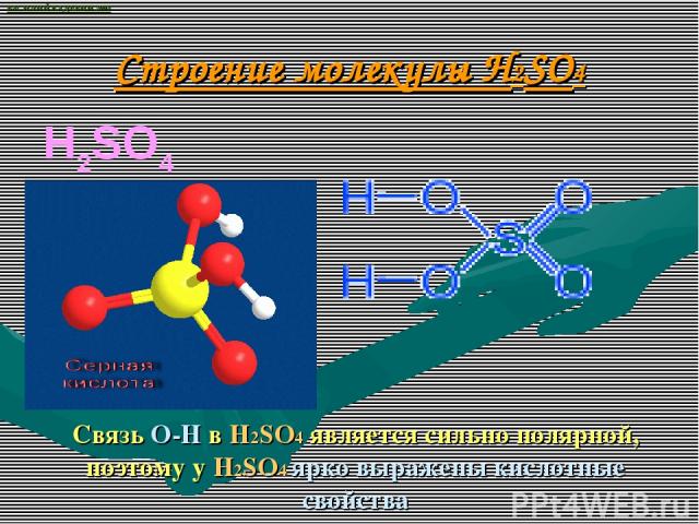 Строение молекулы H2SO4 H2SO4                          Связь О-Н в H2SO4 является сильно полярной, поэтому у H2SO4 ярко выражены кислотные свойства ВАСИЛИЙ КАДЕВИЧ 2008