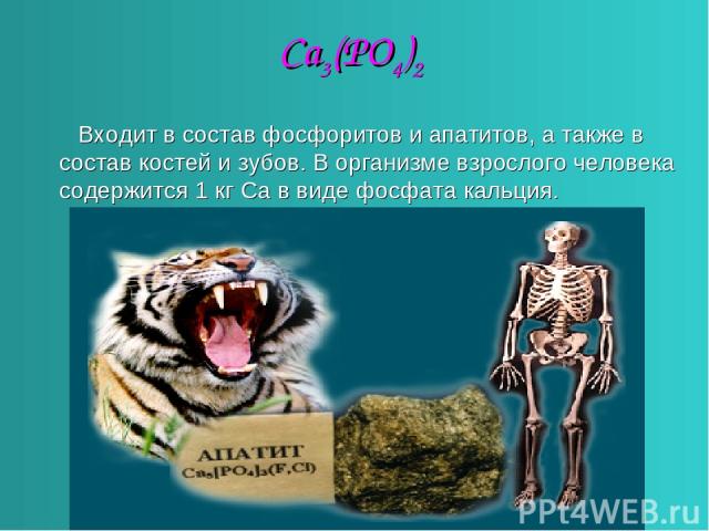 Ca3(PO4)2 Входит в состав фосфоритов и апатитов, а также в состав костей и зубов. В организме взрослого человека содержится 1 кг Са в виде фосфата кальция.