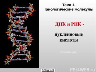 Тема 1. Биологические молекулы Prezentacii.com 900igr.net ДНК и РНК - нуклеиновы