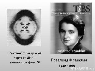 Розалинд Франклин Рентгеноструктурный портрет ДНК – знаменитое фото 51 1920 - 19