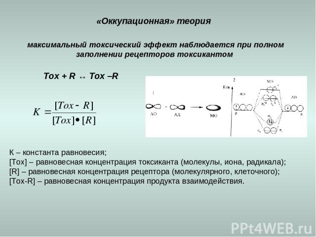 максимальный токсический эффект наблюдается при полном заполнении рецепторов токсикантом «Оккупационная» теория Tox + R ↔ Tox –R К – константа равновесия; [Tox] – равновесная концентрация токсиканта (молекулы, иона, радикала); [R] – равновесная конц…