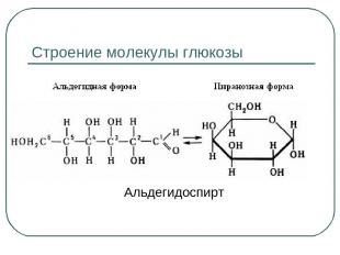Cтроение молекулы глюкозы Альдегидоспирт