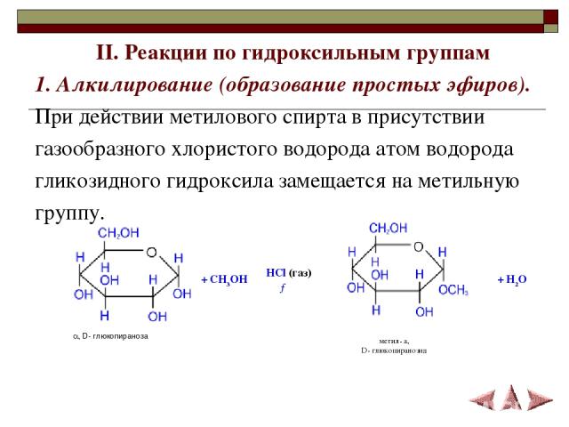 II. Реакции по гидроксильным группам 1. Алкилирование (образование простых эфиров).  При действии метилового спирта в присутствии газообразного хлористого водорода атом водорода гликозидного гидроксила замещается на метильную группу.                …