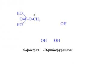 5-фосфат β-D-рибофуранозы 5