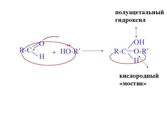 + HO-R’ R-C OH H O- .. полуацетальный гидроксил R’ кислородный «мостик»