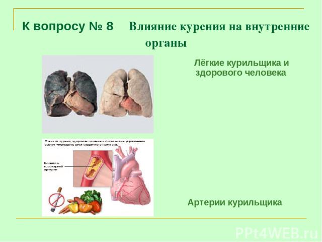К вопросу № 8 Влияние курения на внутренние органы Лёгкие курильщика и здорового человека Артерии курильщика