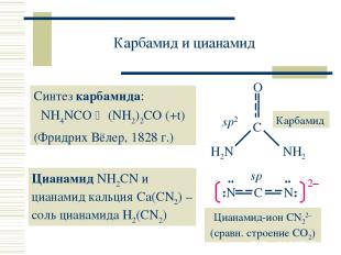 Карбамид и цианамид Синтез карбамида: NH4NCO (NH2)2CO (+t) (Фридрих Вёлер, 1828