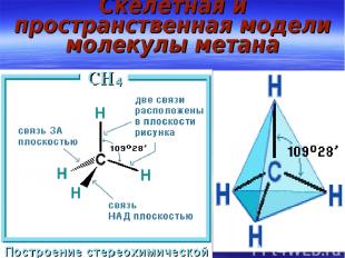 Скелетная и пространственная модели молекулы метана