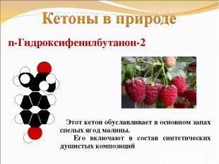 n-Гидроксифенилбутанон-2 Этот кетон обуславливает в основном запах спелых ягод м