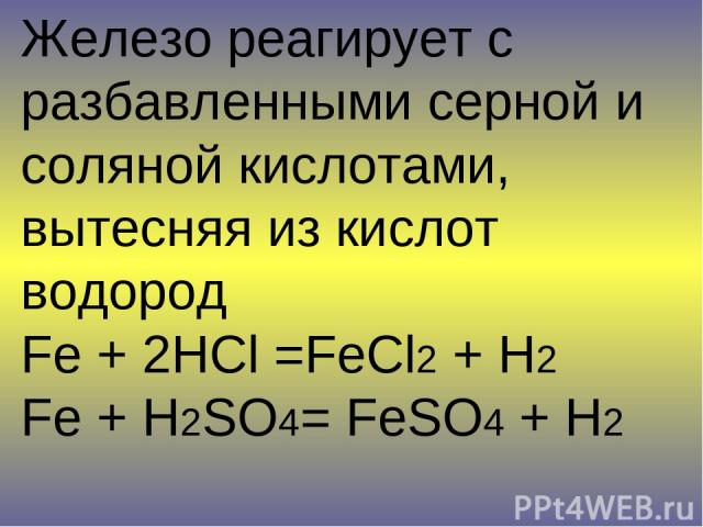 Железо реагирует с разбавленными серной и соляной кислотами, вытесняя из кислот водород Fe + 2HCl =FeCl2 + H2 Fe + H2SO4= FeSO4 + H2