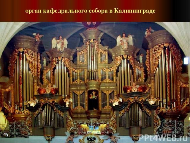 орган кафедрального собора в Калининграде