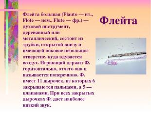 Флейта большая (Flauto — ит., Flote — нем., Flute — фр.) — духовой инструмент, д