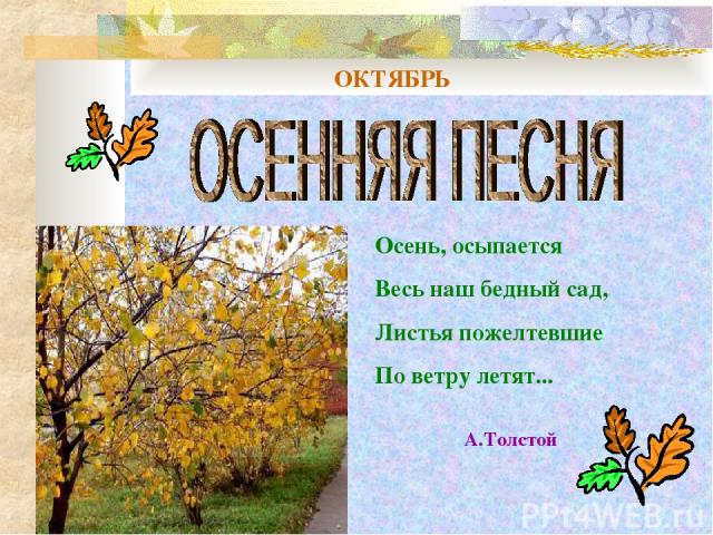ОКТЯБРЬ Осень, осыпается Весь наш бедный сад, Листья пожелтевшие По ветру летят... А.Толстой