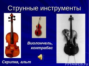 Струнные инструменты Скрипка, альт Виолончель, контрабас