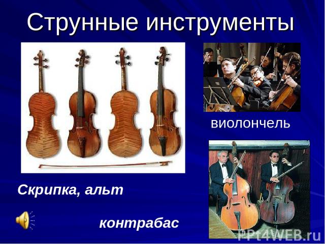 Струнные инструменты Скрипка, альт виолончель контрабас