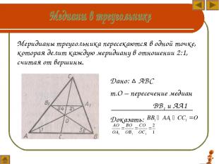 Меридианы треугольника пересекаются в одной точке, которая делит каждую меридиан