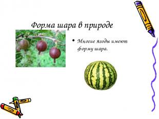 Форма шара в природе Многие ягоды имеют форму шара.