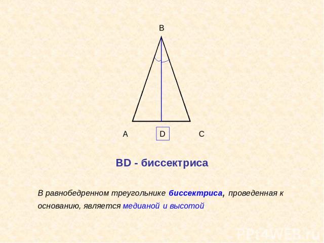 А В С В равнобедренном треугольнике биссектриса, проведенная к основанию, является медианой и высотой ВD - биссектриса