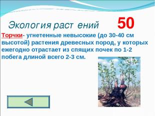 Экология растений 50 Торчки- угнетенные невысокие (до 30-40 см высотой) растения
