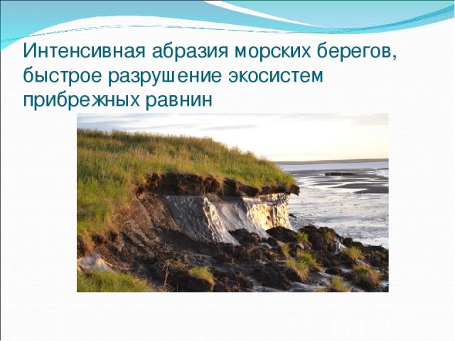 Интенсивная абразия морских берегов, быстрое разрушение экосистем прибрежных равнин