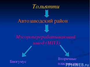 Тольятти Автозаводский район Мусороперерабатывающий завод (МПЗ) Биогумус Вторичн