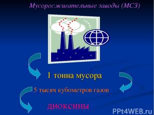 1 тонна мусора 5 тысяч кубометров газов диоксины Мусоросжигательные заводы (МСЗ)