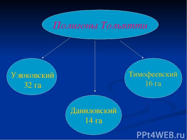 Полигоны Тольятти Даниловский 14 га Тимофеевский 16 га Узюковский 32 га