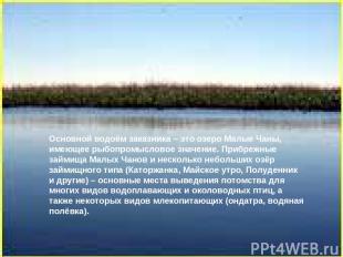 Основной водоём заказника – это озеро Малые Чаны, имеющее рыбопромысловое значен