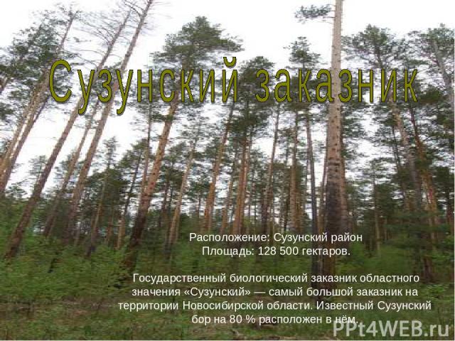 Расположение: Сузунский район Площадь: 128 500 гектаров.   Государственный биологический заказник областного значения «Сузунский» — самый большой заказник на территории Новосибирской области. Известный Сузунский бор на 80 % расположен в нём.