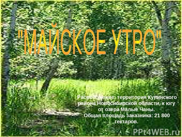Расположение: территория Купинского района Новосибирской области, к югу от озера Малые Чаны. Общая площадь заказника: 21 800 гектаров.