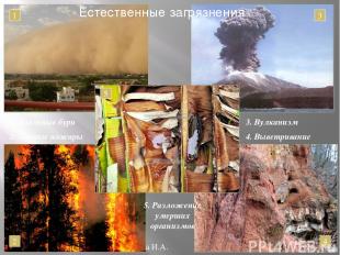 Бочкова И.А. Естественные загрязнения 1. Пыльные бури 2. Лесные пожары 3. Вулкан