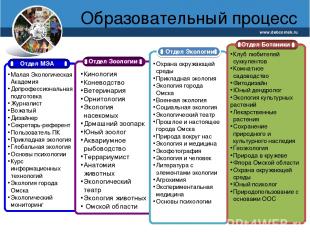 Образовательный процесс www.debcomsk.ru