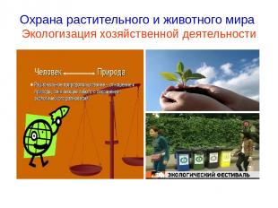 Охрана растительного и животного мира Экологизация хозяйственной деятельности