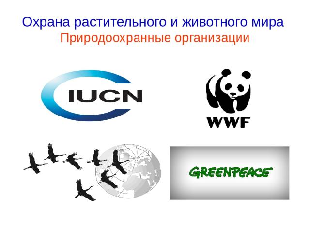 Охрана растительного и животного мира Природоохранные организации