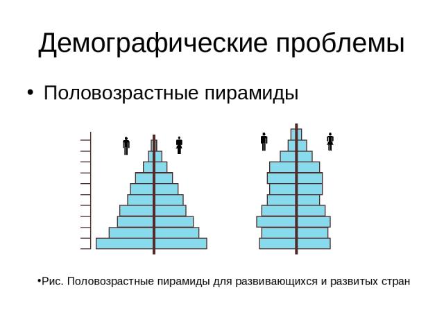 Демографические проблемы Половозрастные пирамиды Рис. Половозрастные пирамиды для развивающихся и развитых стран