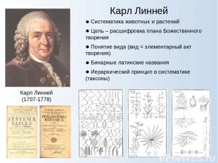 Карл Линней Карл Линней (1707-1778) Систематика животных и растений Цель – расши