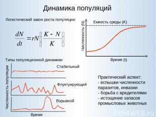 Динамика популяций Логистический закон роста популяции: Типы популяционной динам