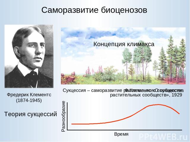 Саморазвитие биоценозов Фредерик Клементс (1874-1945) Теория сукцессий В пределах одного региона результатом последовательных стадий саморазвития растительного сообщества является одна и та же финальная, или климаксовая стадия, начинаются ли они от …