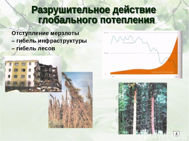 Отступление мерзлоты – гибель инфраструктуры – гибель лесов 4