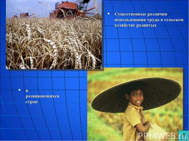Существенные различия использования труда в сельском хозяйстве развитых и развивающихся стран