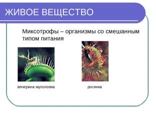 ЖИВОЕ ВЕЩЕСТВО Миксотрофы – организмы со смешанным типом питания венерина мухоло