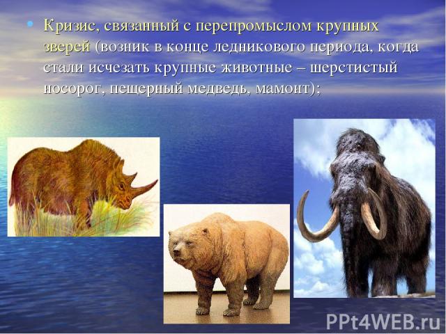 Кризис, связанный с перепромыслом крупных зверей (возник в конце ледникового периода, когда стали исчезать крупные животные – шерстистый носорог, пещерный медведь, мамонт);