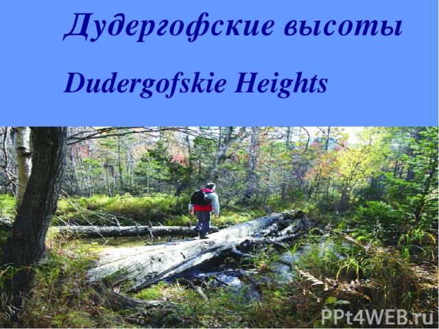 Дудергофские высоты Dudergofskie Heights