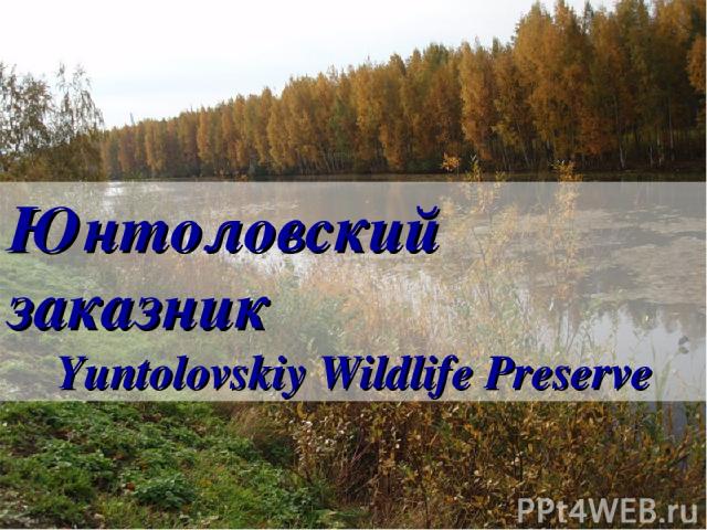 Юнтоловский заказник Yuntolovskiy Wildlife Preserve