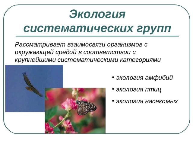 Экология систематических групп Рассматривает взаимосвязи организмов с окружающей средой в соответствии с крупнейшими систематическими категориями экология амфибий экология птиц экология насекомых