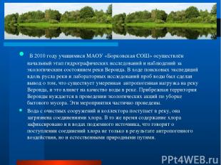 В 2010 году учащимися МАОУ «Борковская СОШ» осуществлён начальный этап гидрограф