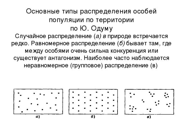 Основные типы распределения особей популяции по территории по Ю. Одуму Случайное распределение (а) в природе встречается редко. Равномерное распределение (б) бывает там, где между особями очень сильна конкуренция или существует антагонизм. Наиболее …