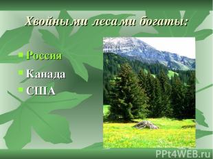 Хвойными лесами богаты: Россия Канада США