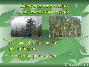 Следствия появления искусственных лесов: Меньшее биологическое разнообразие Появ